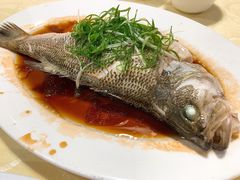 -老字号蛇口德记烧腊饭店·海鲜加工
