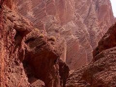 -天山神秘大峡谷