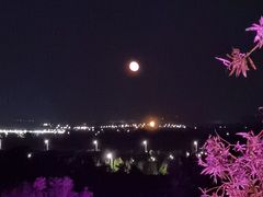-谜语人真人演绎沉浸式密室实景游戏剧场