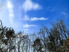 -素山寺森林公园