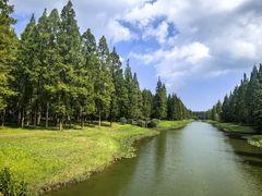 -黄海国家森林公园