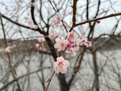 -长春净月潭风景名胜区
