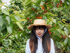 -樱桃山旅游景区