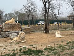 -秦皇岛野生动物园