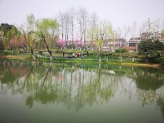 -圩墩遗址公园