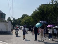 -观潮胜地公园