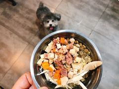 -PETKIT小佩宠物(古北店)