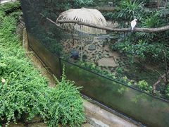 -九龙公园