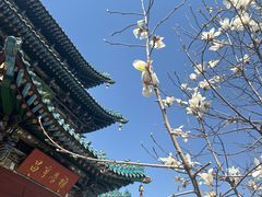 -迎泽公园
