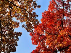 -上海市保健医疗中心