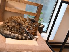 -创艺无限·赵春香微妙艺术馆