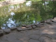 -迎泽公园