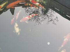 -西安市广仁寺