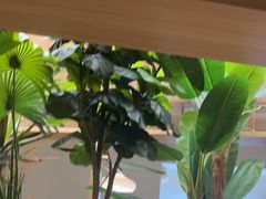 -星伦多自助料理·涮烤一体(杭州来福士店)