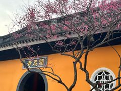 -无锡梅园公园