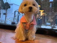 -小意思咖啡店(草桥店)