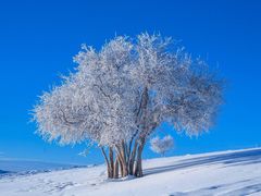 -棋盘山冰雪大世界