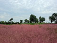 -汉长安城未央宫国家考古遗址公园