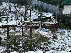 -红山森林动物园