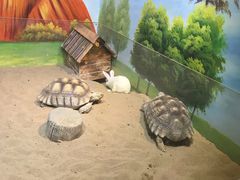 -华夏文旅海洋公园