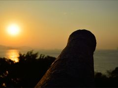 -胡里山炮台