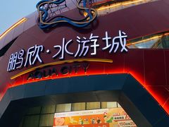 -鹏欣水游城