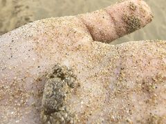 -日照海滨国家森林公园