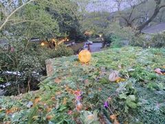 -兰桂坊·花园餐厅(西湖店)