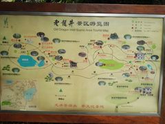-十八棵（老龙井）御茶园(老龙井店)