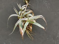 -苏州河梦清园环保主题公园