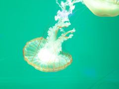 -多彩贵州城极地海洋世界