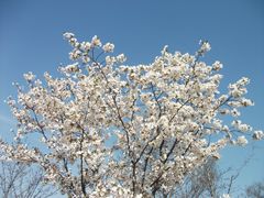 -苏州上方山国家森林公园