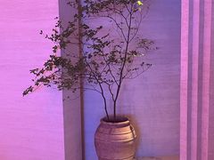 -舒小悦·舒养SPA·古法推拿(光环中心店)