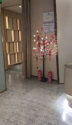 -思妍丽