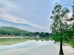-番禺大夫山森林公园