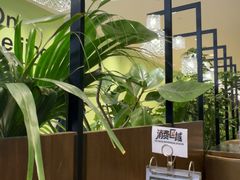 -THE WOODS 简餐 (国贸商城店)