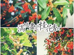 -杭州少年儿童公园