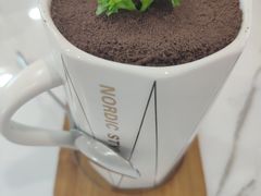 -喵园·猫主题咖啡厅·撸猫·猫咖(国贸店)