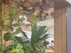 -霸王茶姬(正佳广场店)