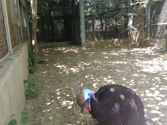 景点-北京动物园