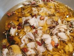 -渝信川菜 · 川味家常菜(财富购物中心店)