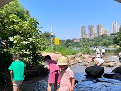 -重庆彩云湖湿地公园