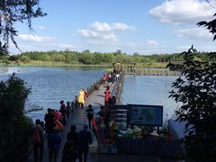 -溱湖国家湿地公园