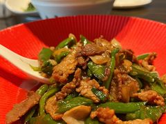 辣椒炒肉-桃花源中餐厅(金茂豪华精选酒店)