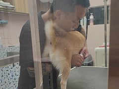 -FAELING PETS美天灵宠物(富力广场店)
