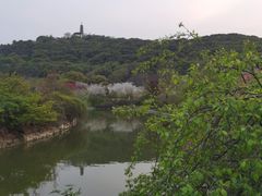 -苏州上方山国家森林公园