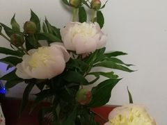 -有料儿铜锅(白堤路店)