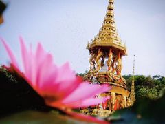 -西双版纳勐泐文化旅游区