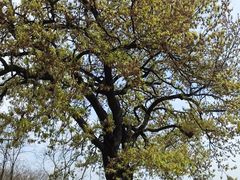 -南京市江宁方山