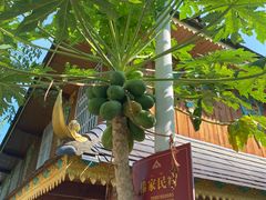 -曼丢傣家古寨